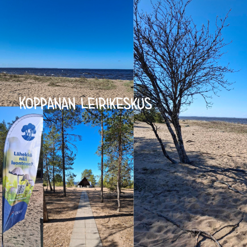 kuvia rannalta ja kesäiseltä metsäpolulta