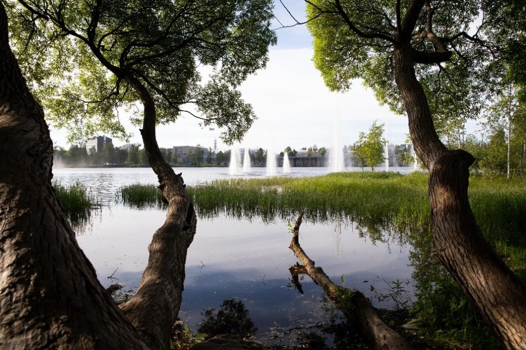Kesä Byströmin Ohjaamolla kuvituskuva