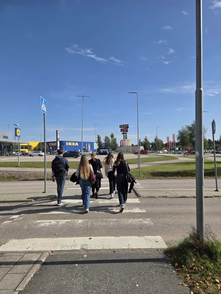Viisi selin olevaa nuorta henkiöä kävelee Ikeaa kohti ylittäen suojatietä.