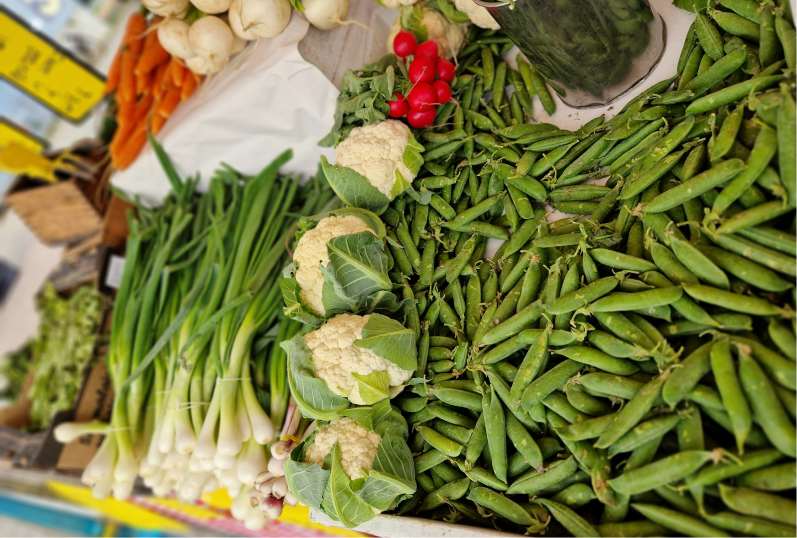 Herneitä, kukkakaaleja ja kevätsipuleita.